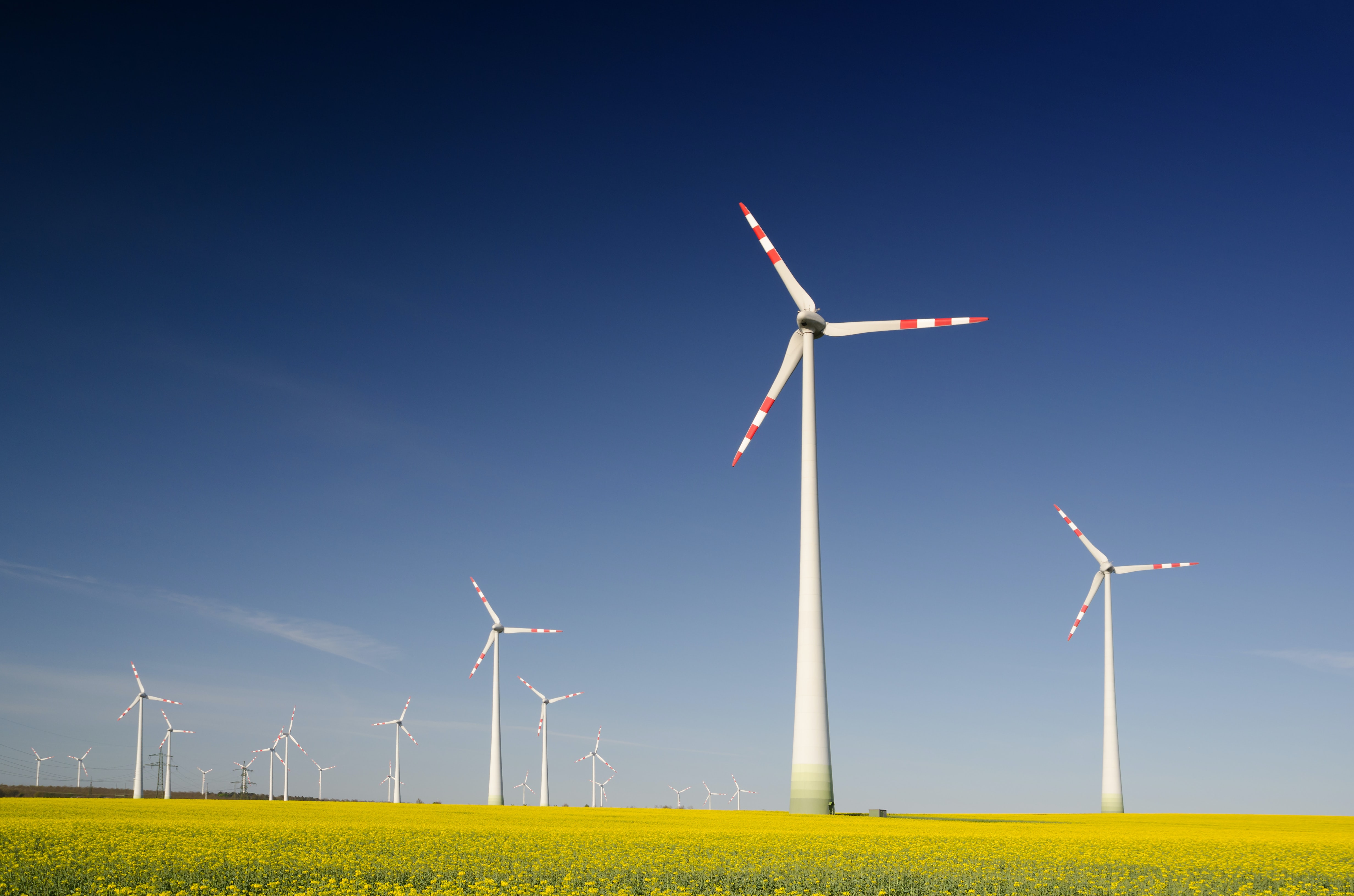 Wind power, Capacity & Facts