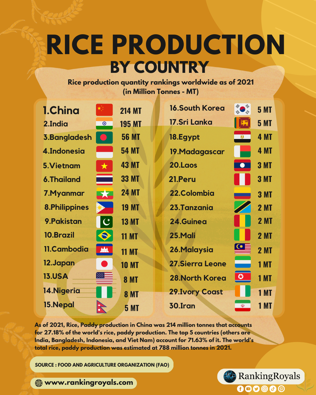 Rice Production