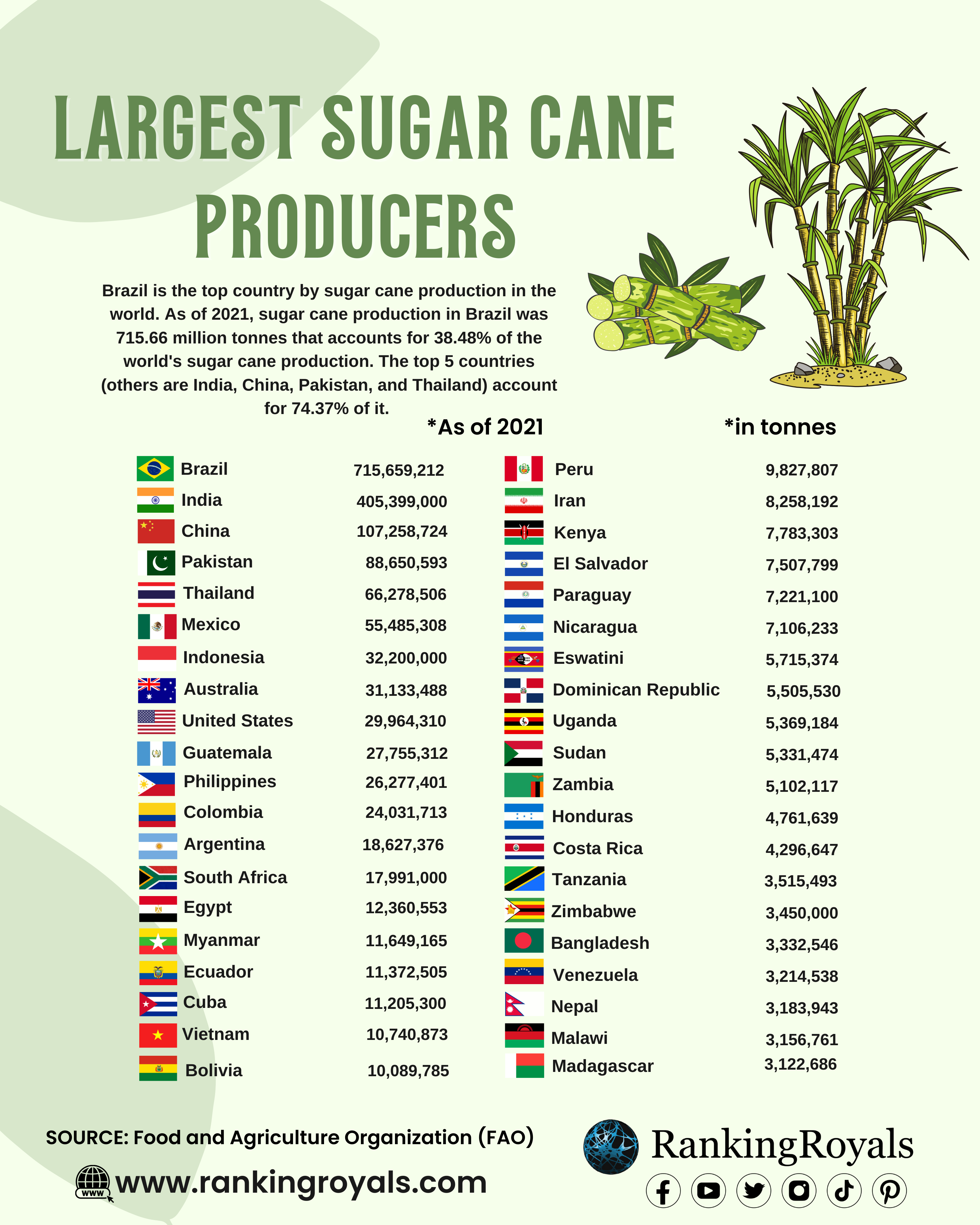 Sugar-Cane-Production